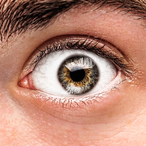 Are There Other Uses For EMDR Therapy?