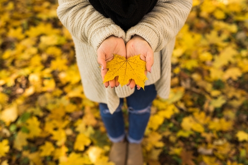 Mindfulness for autumn