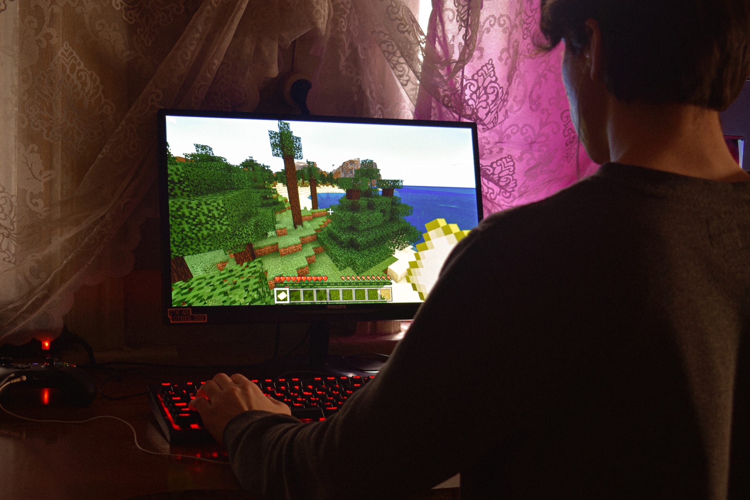 Video Game Addiction Behavioral Addiction